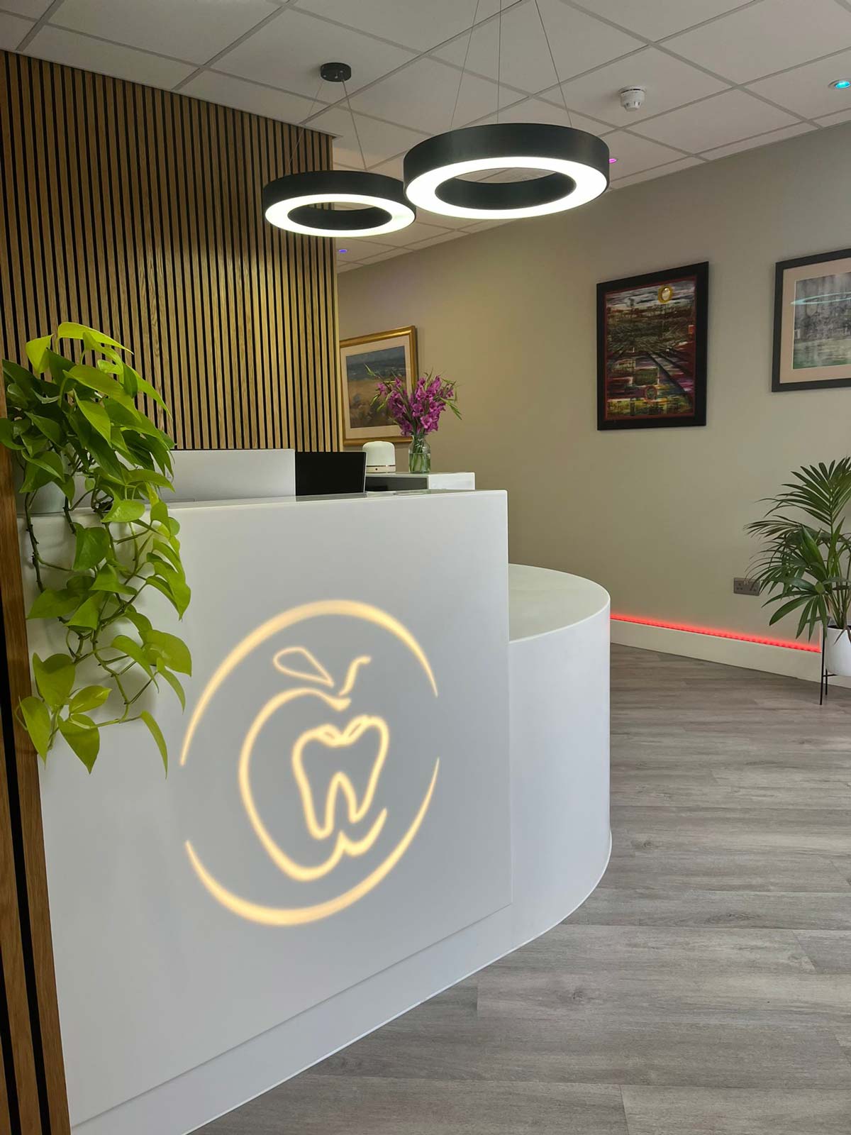 Reception area - Dentists Plymouth
